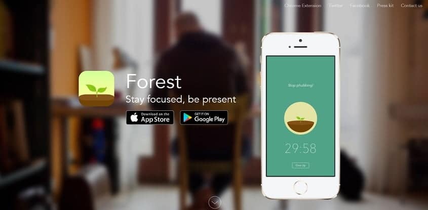 forest