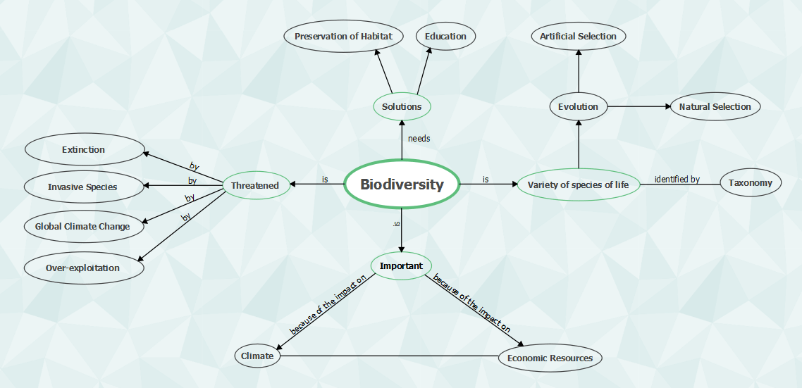 Molecular Biology Concept Map   Biology Concept Map 